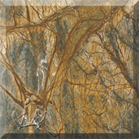 Kuppam Green Granite